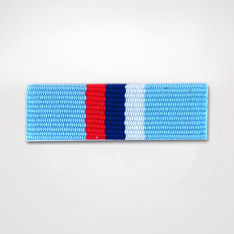 Ribbon Covered ROA Merit Pin Front