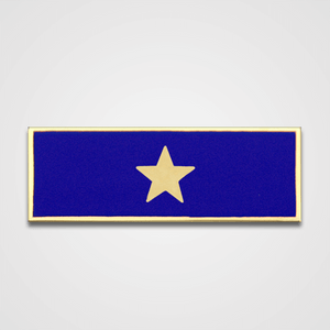 1-Star Blue Merit Pin-Bar